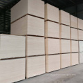 High Quality Birch Plywood Malaysian hardwood plywood